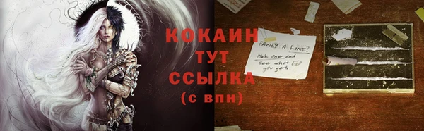 прущий лед Вязьма