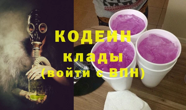 соль ск Верхний Тагил