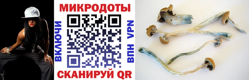 Галлюциногенные грибы GOLDEN TEACHER  ОМГ ОМГ как зайти  Гусь-Хрустальный 